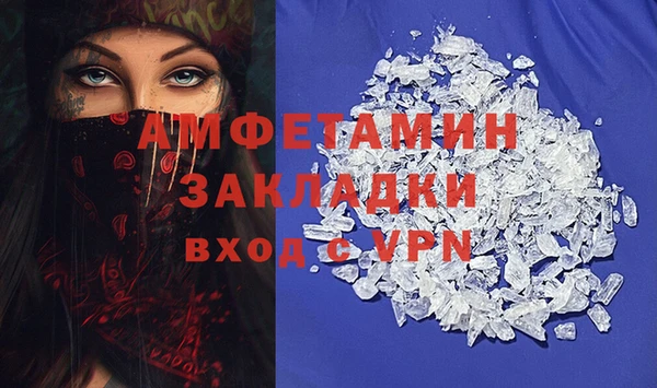 прущие грибы Магадан