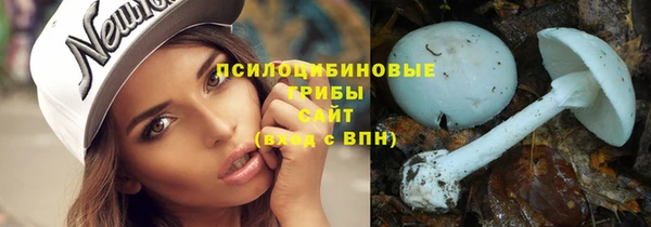 метадон Новодвинск