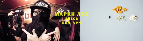 мяу мяу мука Медвежьегорск