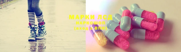 мяу мяу мука Медвежьегорск