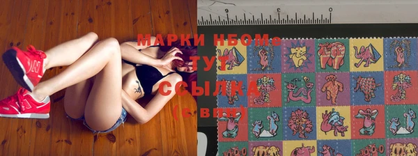 мяу мяу мука Медвежьегорск