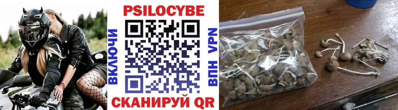 Псилоцибиновые грибы прущие грибы Трёхгорный