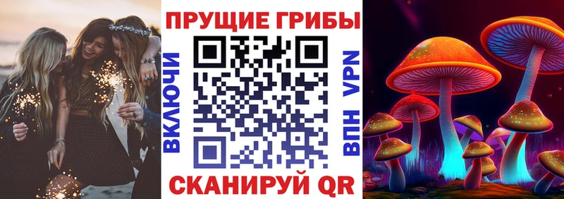 Галлюциногенные грибы Cubensis  наркошоп  Трёхгорный 